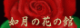 摜񋟃TCg